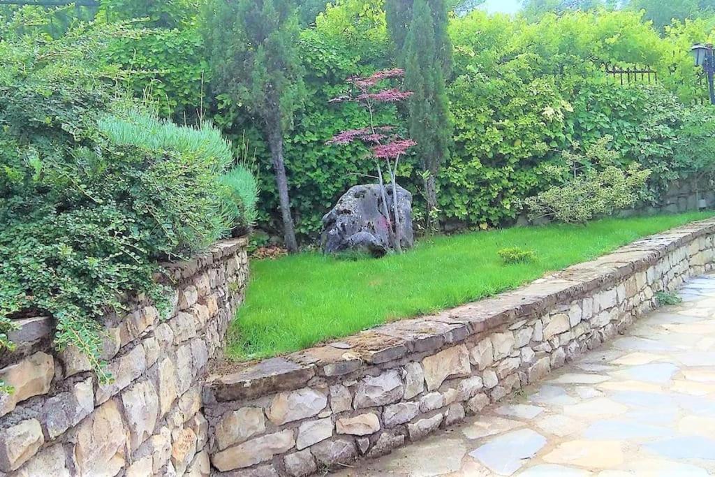 Villa Tethys Mountain Resort Zakas Экстерьер фото