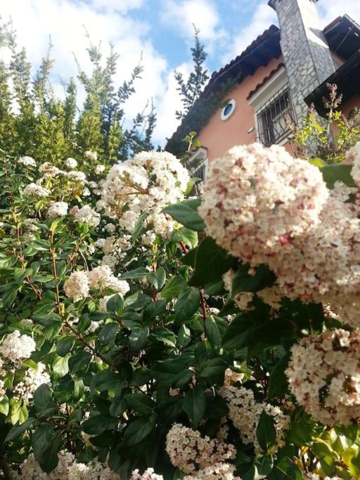 Villa Tethys Mountain Resort Zakas Экстерьер фото