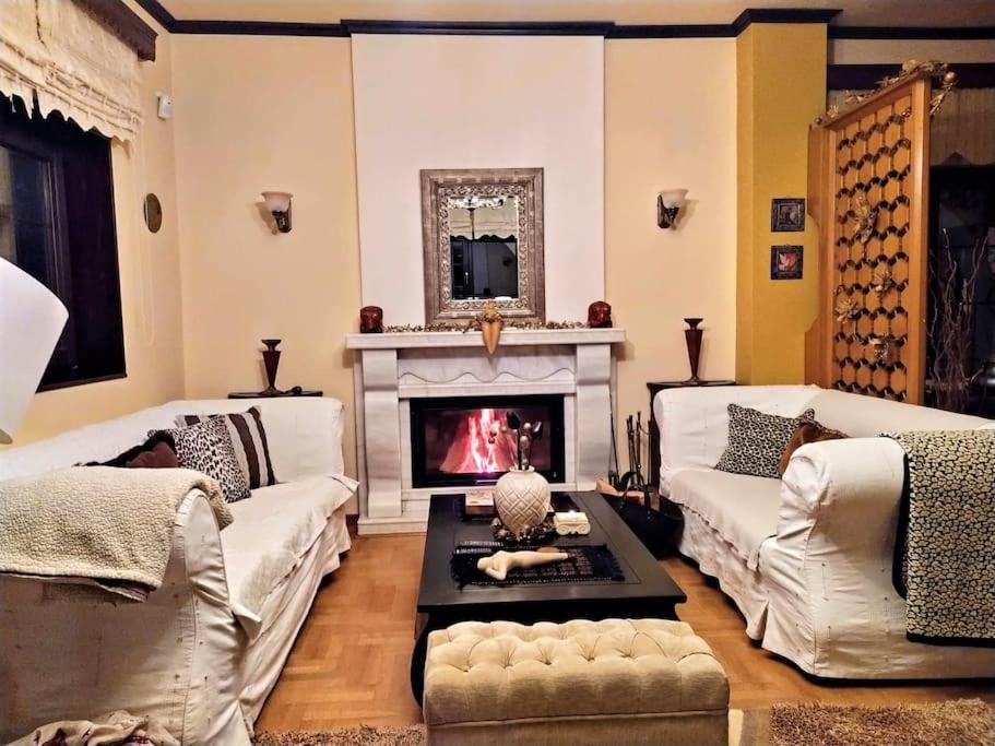 Villa Tethys Mountain Resort Zakas Экстерьер фото