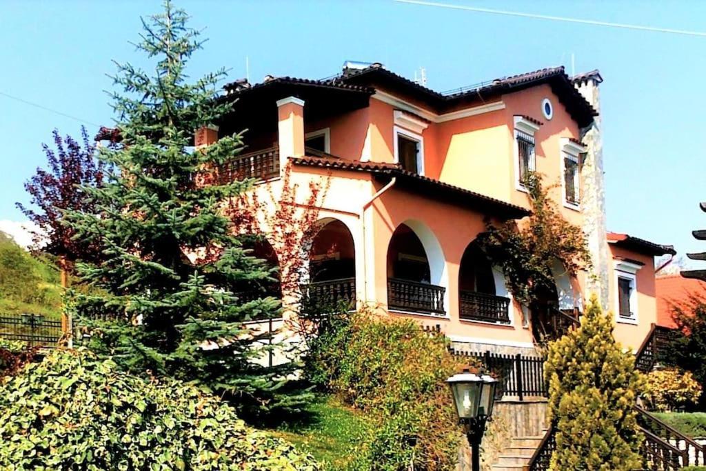 Villa Tethys Mountain Resort Zakas Экстерьер фото
