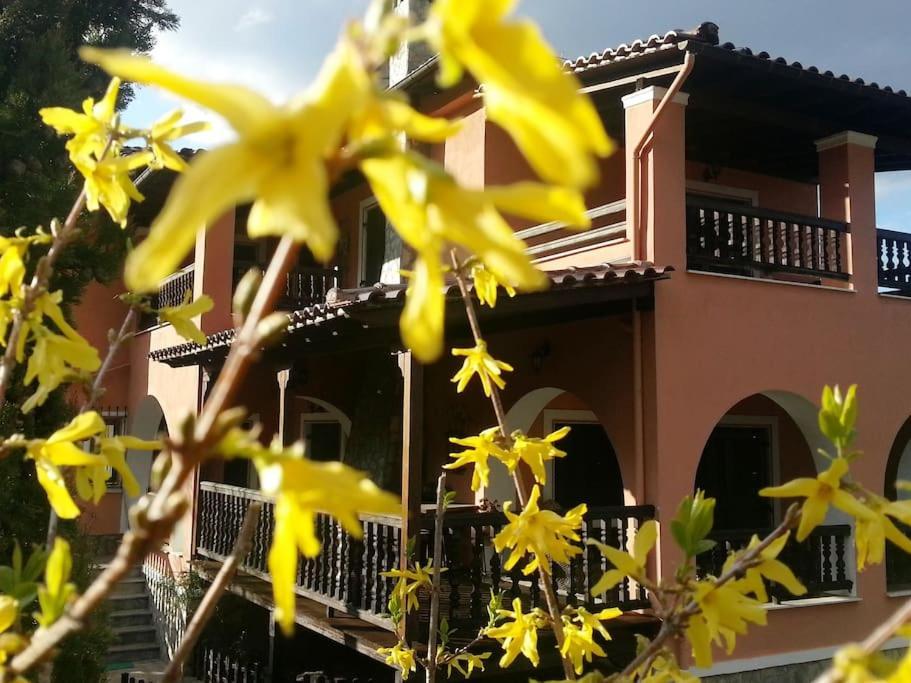 Villa Tethys Mountain Resort Zakas Экстерьер фото