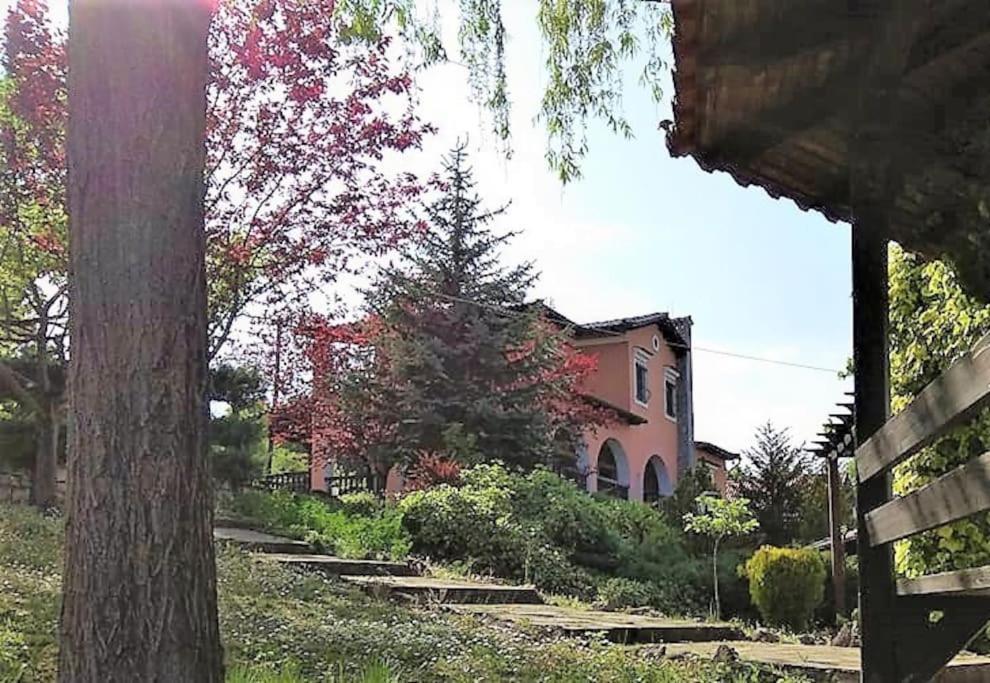 Villa Tethys Mountain Resort Zakas Экстерьер фото