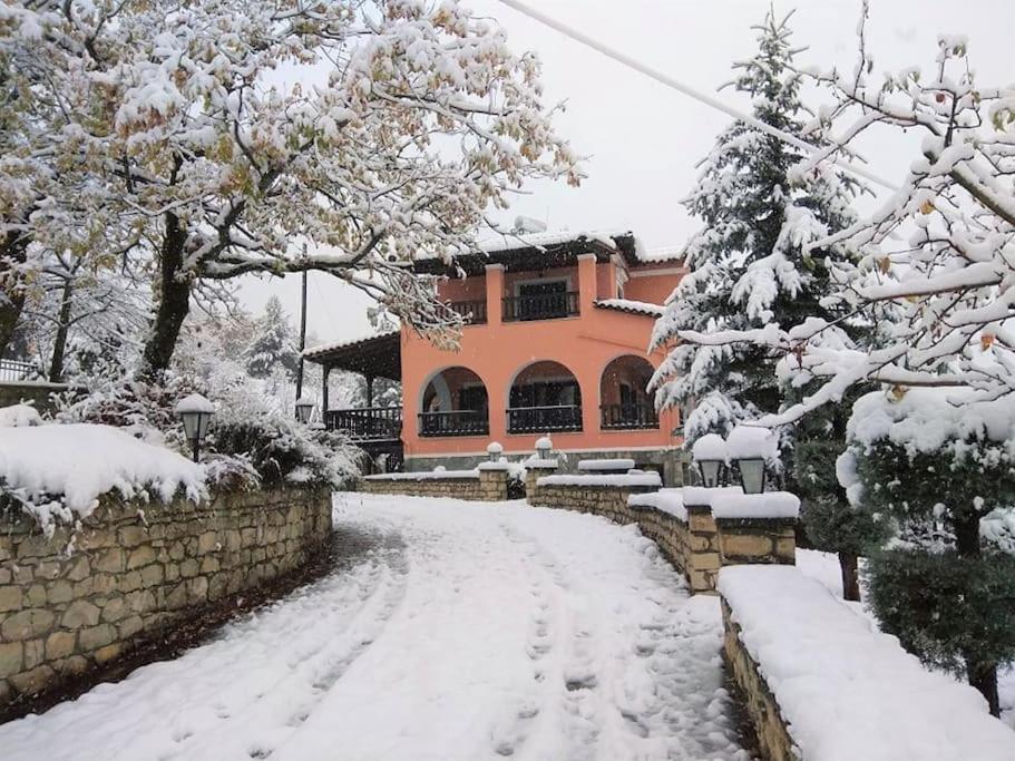Villa Tethys Mountain Resort Zakas Экстерьер фото